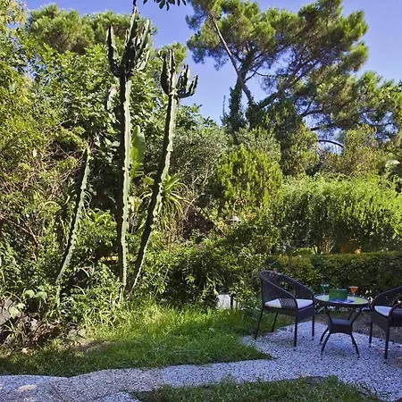 Parco Verde Terme Hotel Ischia